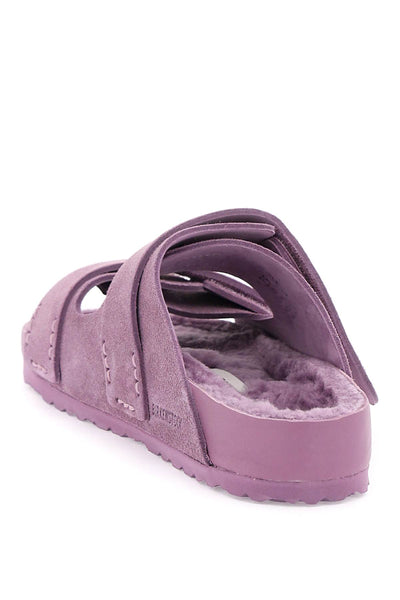 uji slides 1026280 MAUVE