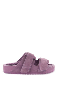 uji slides 1026280 MAUVE