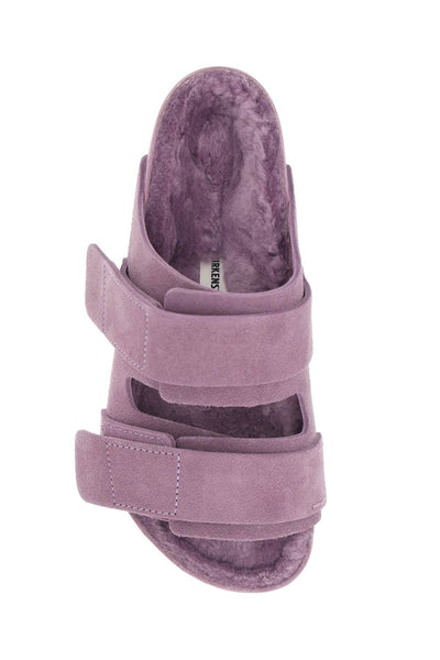 uji slides 1026280 MAUVE