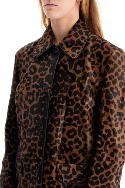 leopard print car coat in horse 243 WRO1812 LE0075 LEOPARD P