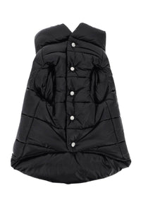 dog down vest 3G000 01 68950 BLACK