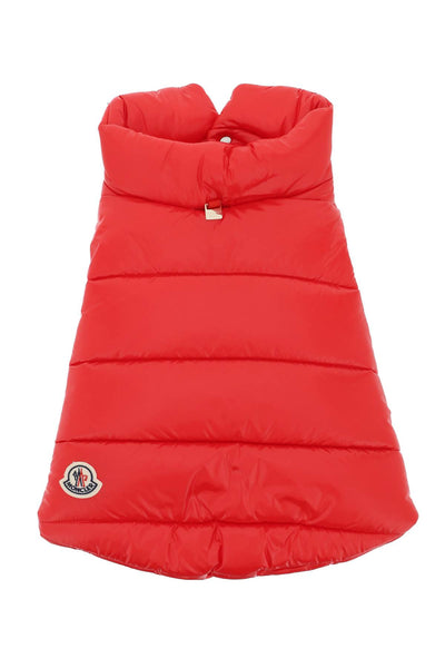 dog down vest 3G000 01 68950 RED