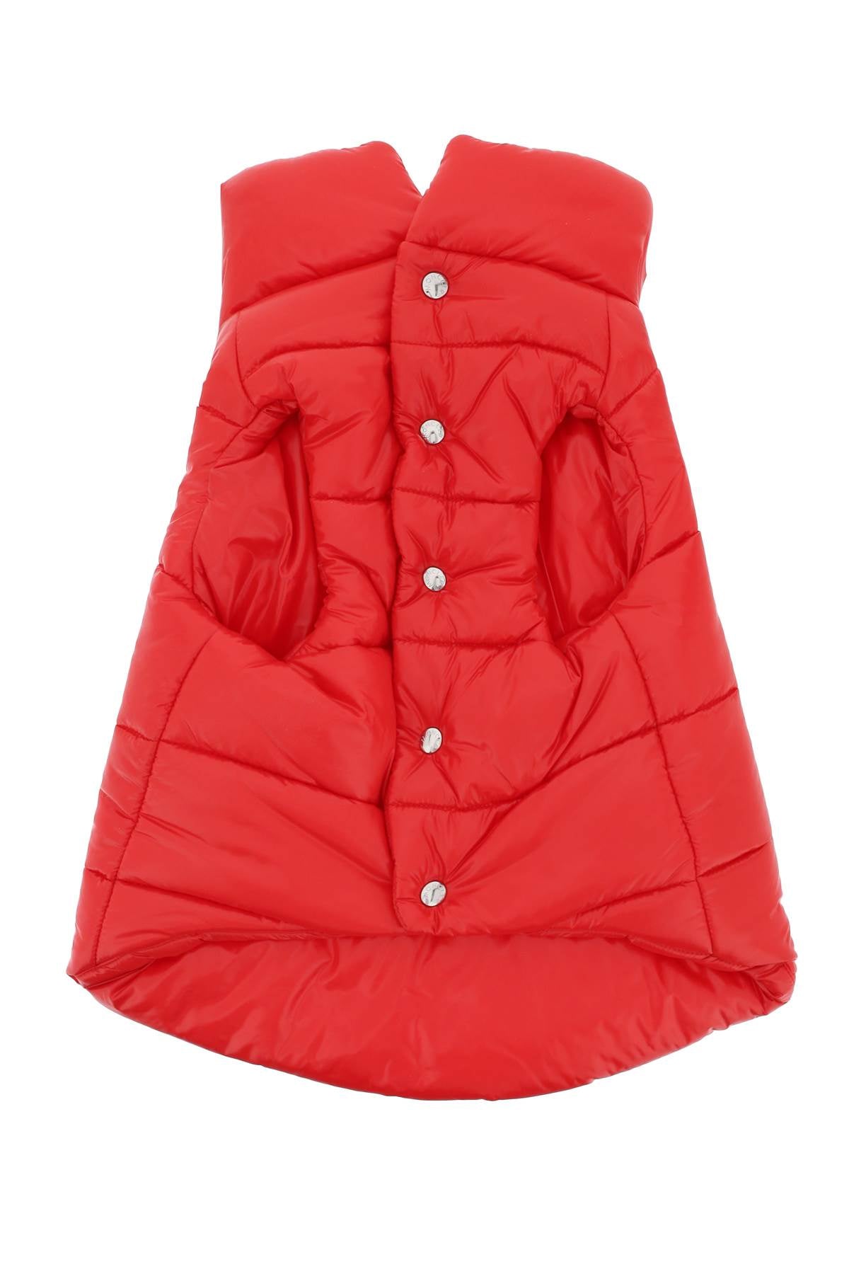 dog down vest 3G000 01 68950 RED