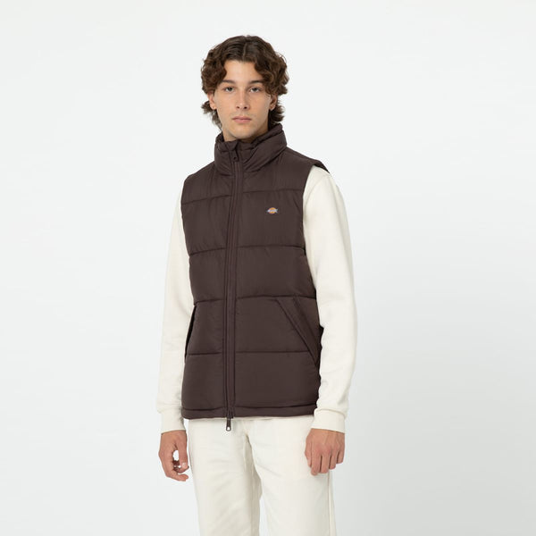 Dickies - Gilet Waldenburg Java - DK0A4Y2K - JAVA