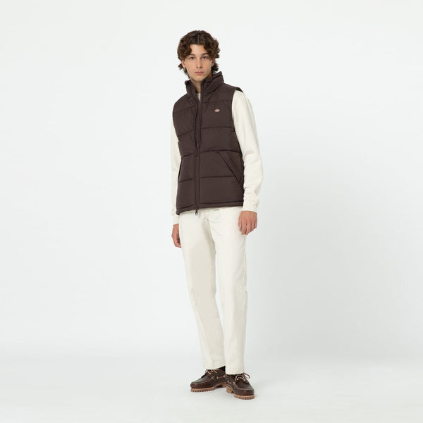 Dickies - Gilet Waldenburg Java - DK0A4Y2K - JAVA