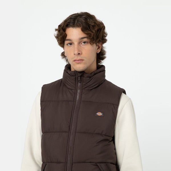 Dickies - Gilet Waldenburg Java - DK0A4Y2K - JAVA