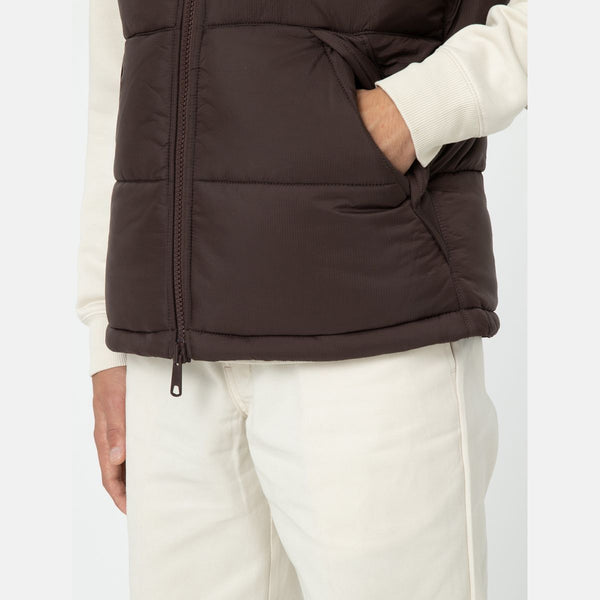 Dickies - Gilet Waldenburg Java - DK0A4Y2K - JAVA