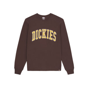 Dickies - Maglietta a maniche lunghe Aitkin Java - DK0A4Y4S - JAVA