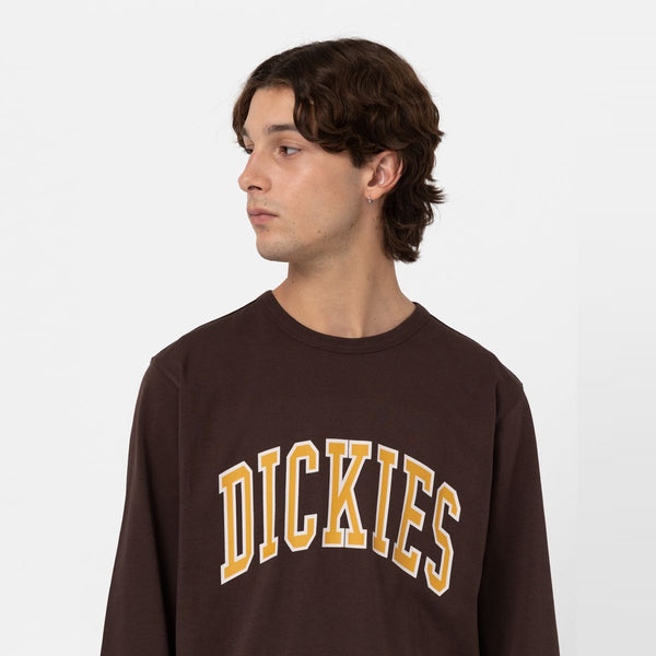 Dickies - Maglietta a maniche lunghe Aitkin Java - DK0A4Y4S - JAVA