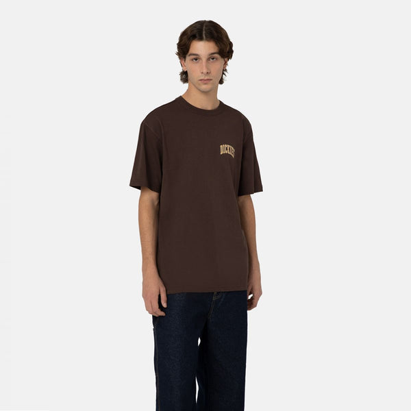 Dickies - T-Shirt Sitkin Java - DK0A4Y8O - JAVA