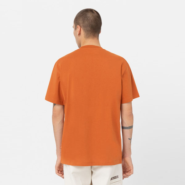 Dickies - T-Shirt Summerdale Bombay Brown - DK0A4YAI - BOMBAY/BROWN