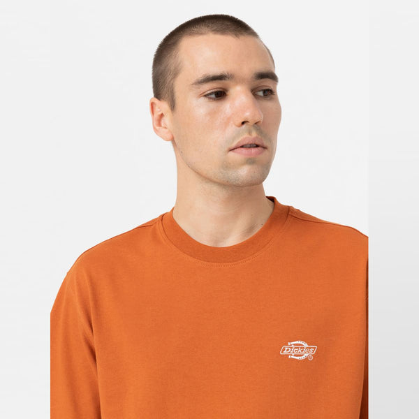 Dickies - T-Shirt Summerdale Bombay Brown - DK0A4YAI - BOMBAY/BROWN