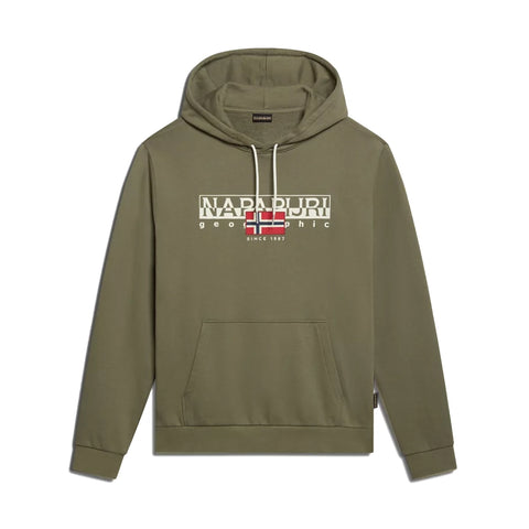 Napapijri - Aylmer Green Lichen Hoodie - NP0A4HTL - GREEN/LICHEN