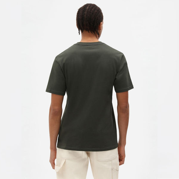 Dickies - T-Shirt Mapleton Olive Green - DK0A4XDB - OLIVE/GREEN
