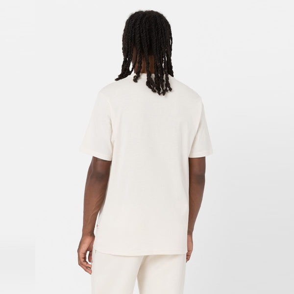 Dickies - T-Shirt Mapleton Whitecap Gray - DK0A4XDB - WHITECAP/GRAY