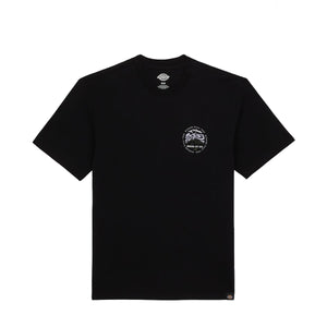 Dickies - T-Shirt Stanardsville Black - DK0A4YR2 - BLACK