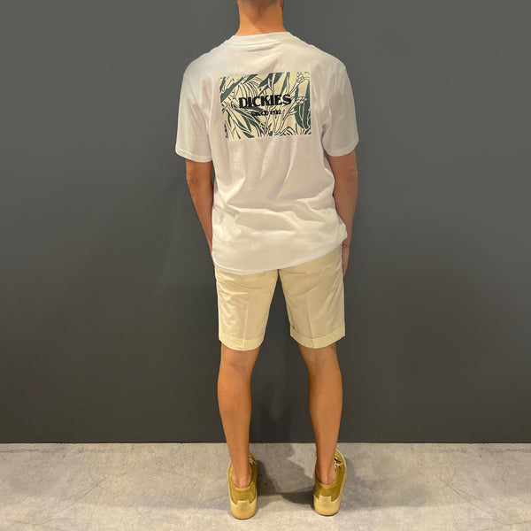 Clark - bermuda harold chino regular ivory - harold-t082 - ivory | Italystation.com - Shop Now at italystation.com