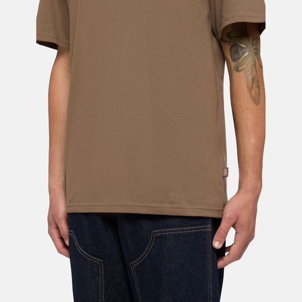 Dickies - t-shirt summerdale mushroom - dk0a4yai - mushroom | Italystation.com - Shop Now at italystation.com