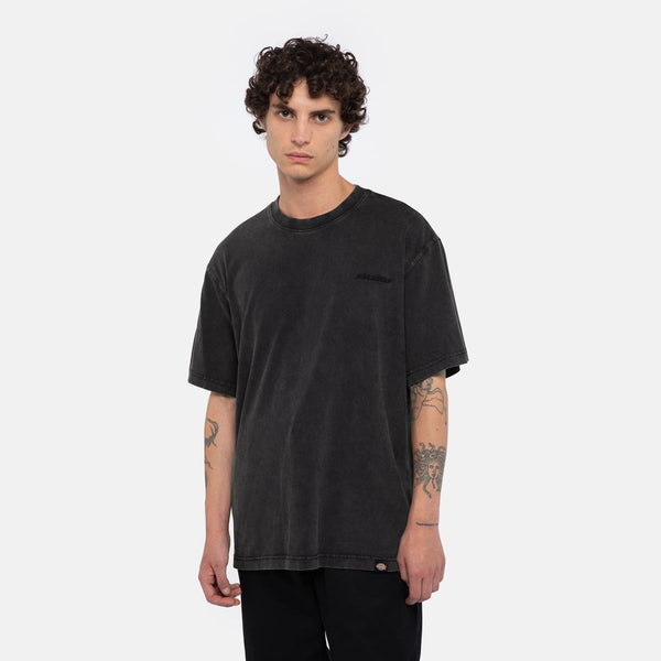 Dickies - t-shirt plentywood black - dk0a866b - dble/dye/acd/b | Italystation.com - Shop Now at italystation.com