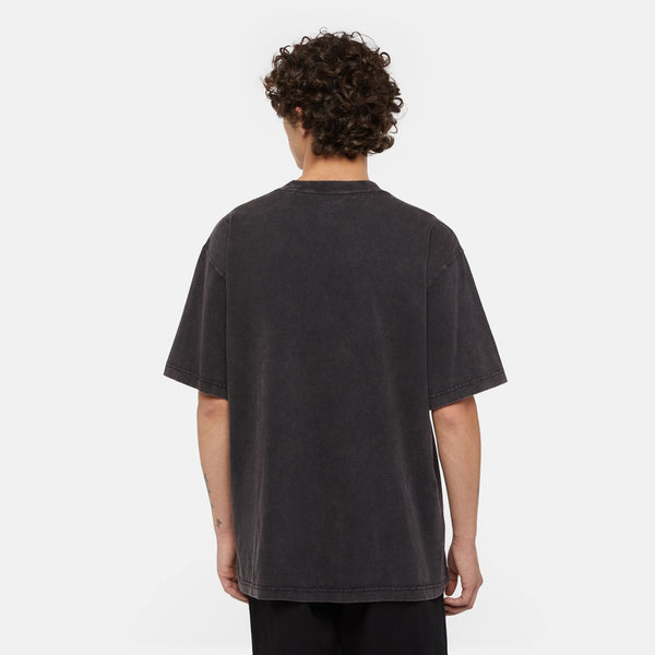 Dickies - t-shirt plentywood black - dk0a866b - dble/dye/acd/b | Italystation.com - Shop Now at italystation.com
