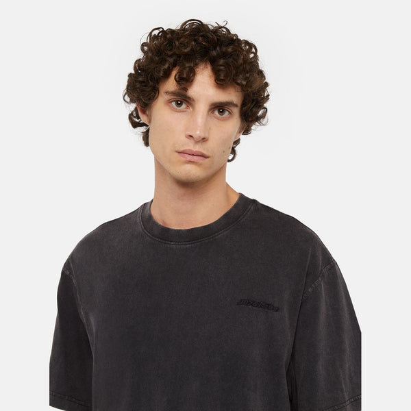 Dickies - t-shirt plentywood black - dk0a866b - dble/dye/acd/b | Italystation.com - Shop Now at italystation.com