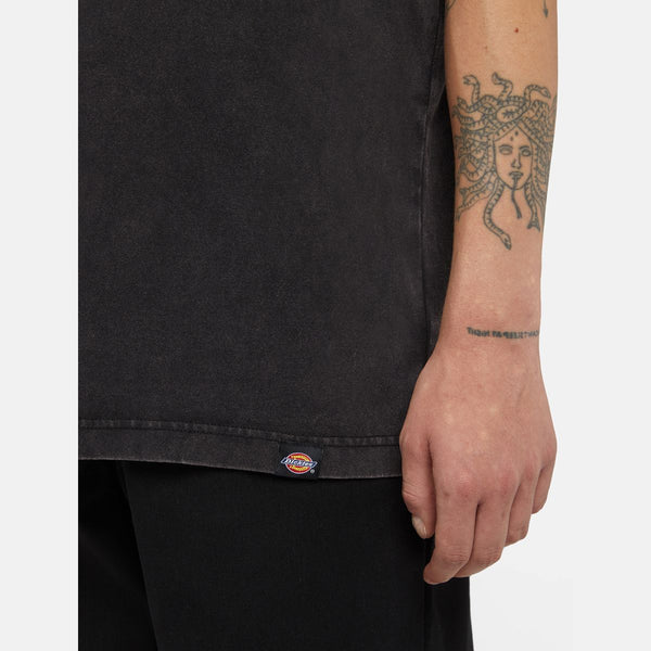 Dickies - t-shirt plentywood black - dk0a866b - dble/dye/acd/b | Italystation.com - Shop Now at italystation.com