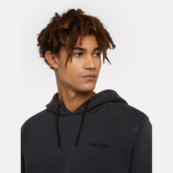 Dickies - Plentywood Black Hoodie - DK0A866D - BLACK