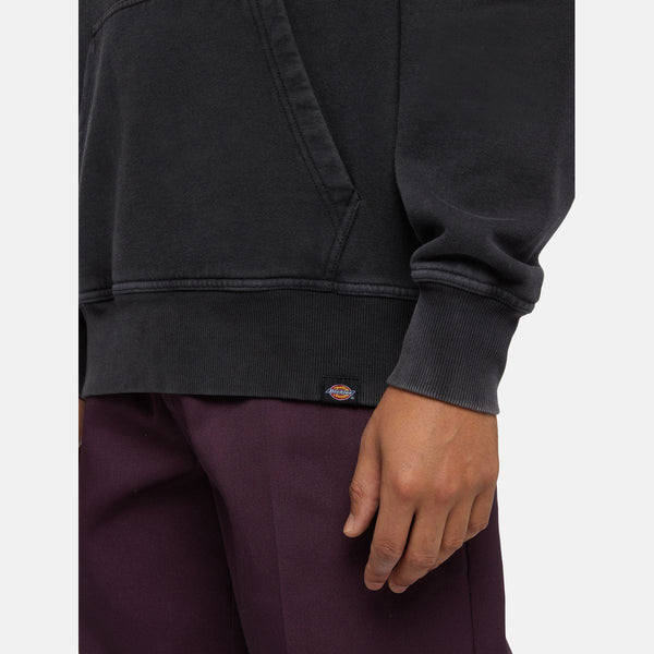 Dickies - Plentywood Black Hoodie - DK0A866D - BLACK