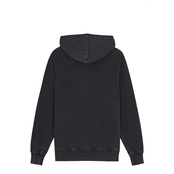 Dickies - Plentywood Black Hoodie - DK0A866D - BLACK