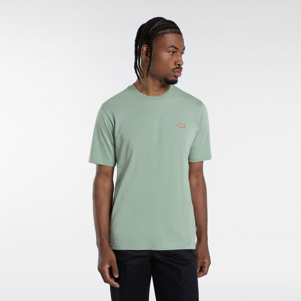 Dickies - Mapleton Iceberg Green T-Shirt - DK0A4XDB - ICEBERG/GREEN