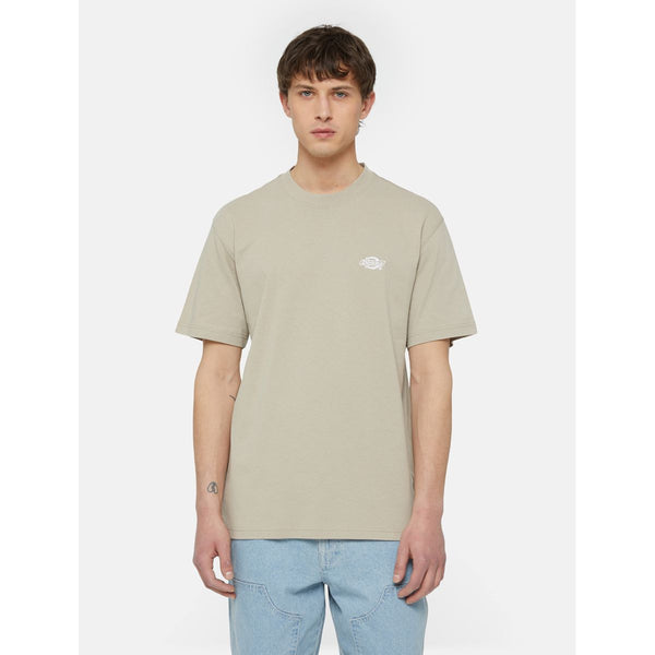 Dickies - Summerdale Sandstone T-Shirt - DK0A4YAI - SANDSTONE