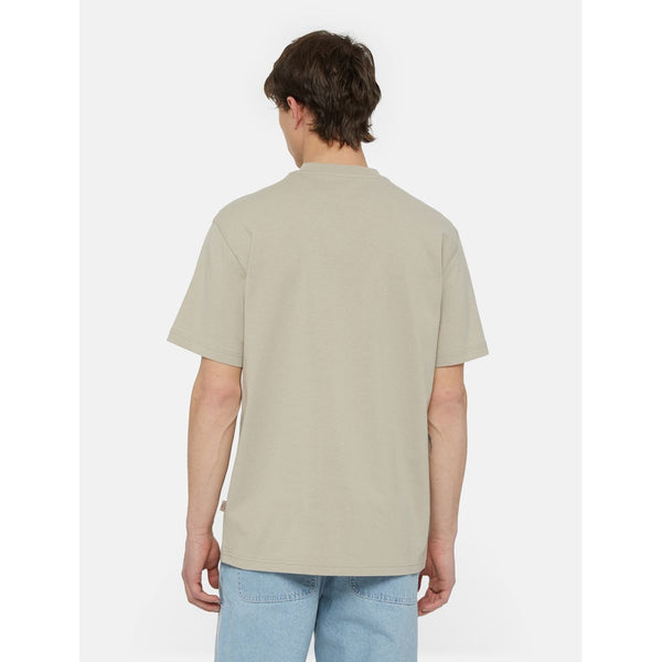 Dickies - Summerdale Sandstone T-Shirt - DK0A4YAI - SANDSTONE