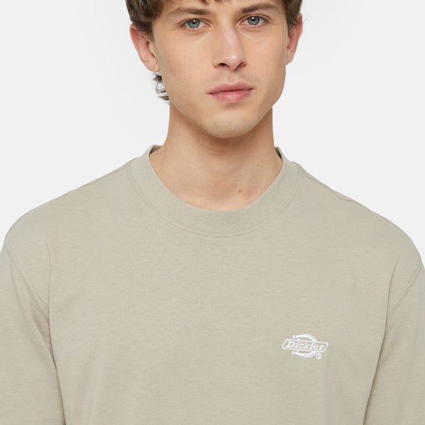 Dickies - Summerdale Sandstone T-Shirt - DK0A4YAI - SANDSTONE