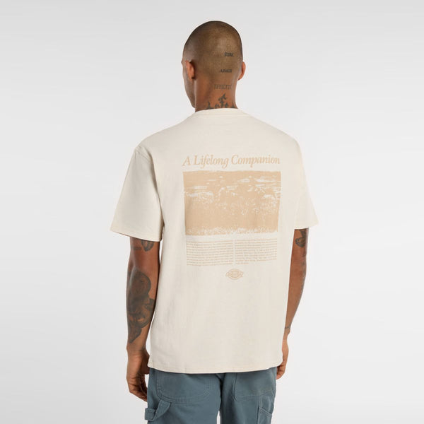 Dickies - Companion Script Whitecap Gray T-Shirt - DK0A4Z92 - WHITECAP/GRAY