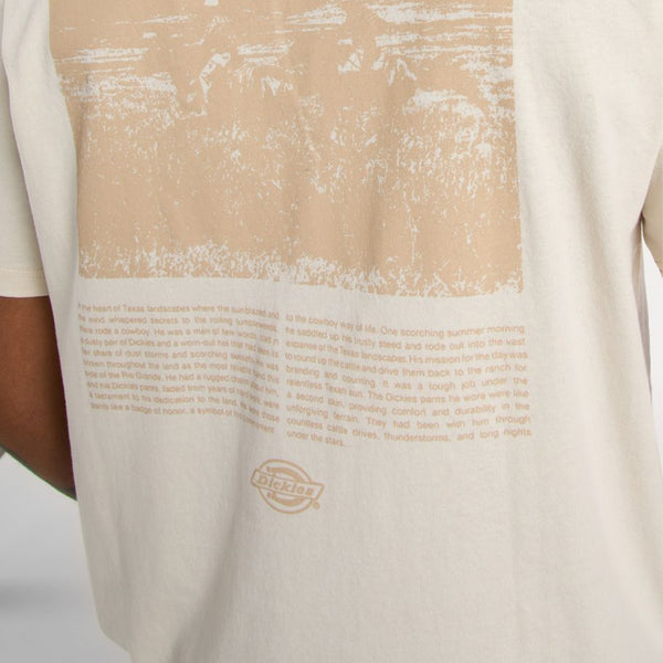 Dickies - Companion Script Whitecap Gray T-Shirt - DK0A4Z92 - WHITECAP/GRAY