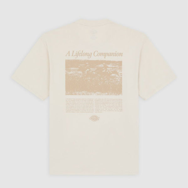 Dickies - Companion Script Whitecap Gray T-Shirt - DK0A4Z92 - WHITECAP/GRAY