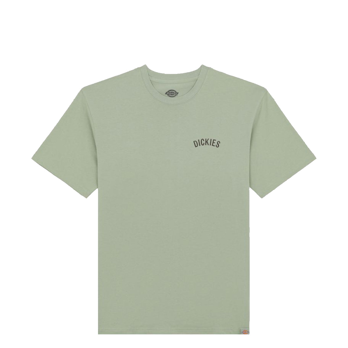 Dickies - Dickies Snake Iceberg Green T-Shirt - DK0A4Z99 - ICEBERG/GREEN