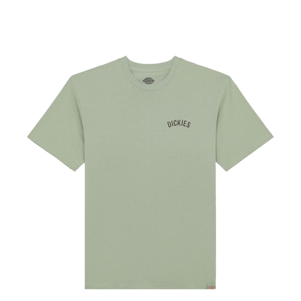 Dickies - Dickies Snake Iceberg Green T-Shirt - DK0A4Z99 - ICEBERG/GREEN