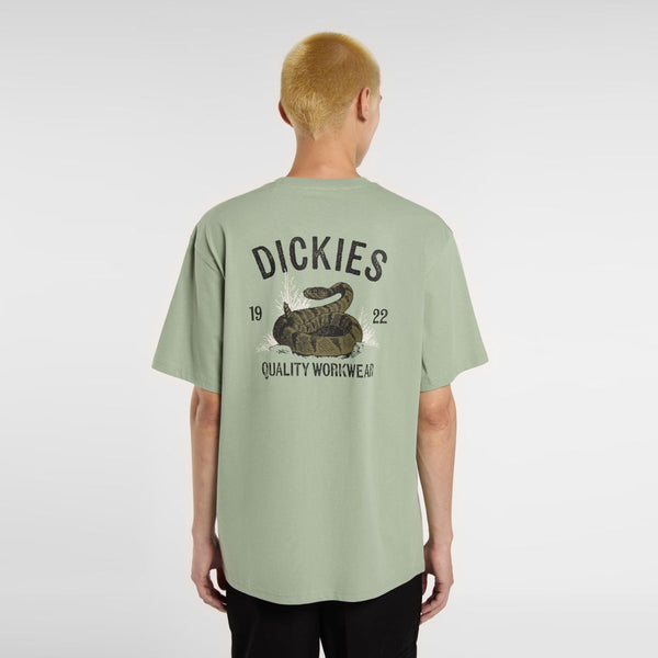 Dickies - Dickies Snake Iceberg Green T-Shirt - DK0A4Z99 - ICEBERG/GREEN
