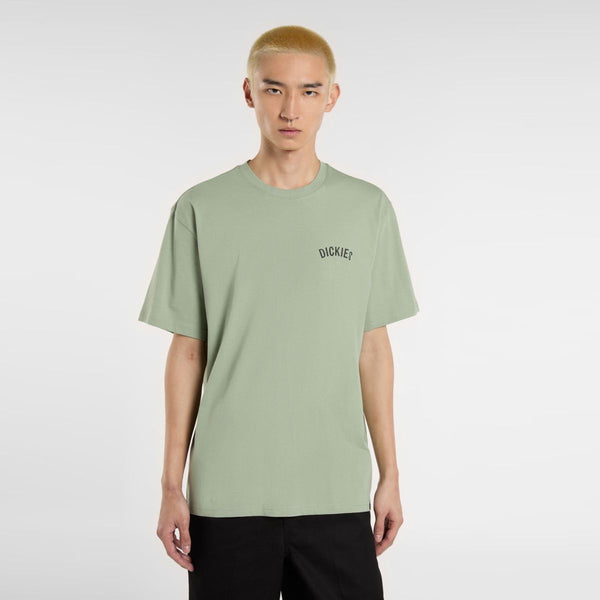 Dickies - Dickies Snake Iceberg Green T-Shirt - DK0A4Z99 - ICEBERG/GREEN