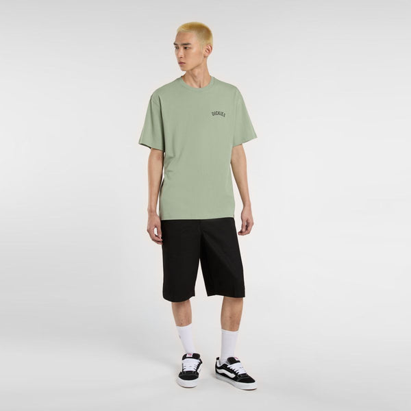 Dickies - Dickies Snake Iceberg Green T-Shirt - DK0A4Z99 - ICEBERG/GREEN