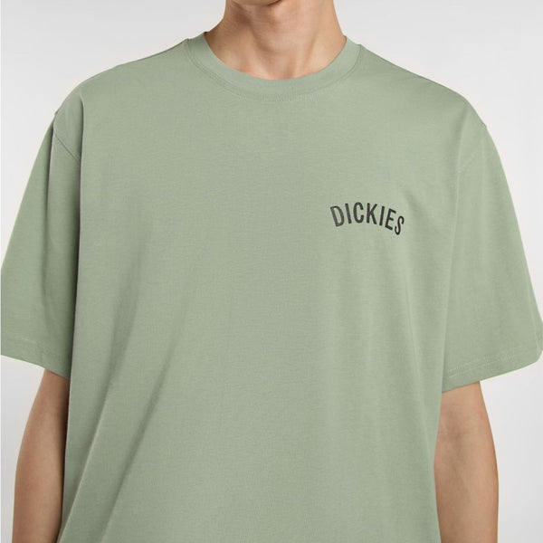 Dickies - Dickies Snake Iceberg Green T-Shirt - DK0A4Z99 - ICEBERG/GREEN
