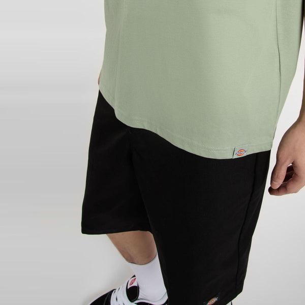 Dickies - Dickies Snake Iceberg Green T-Shirt - DK0A4Z99 - ICEBERG/GREEN