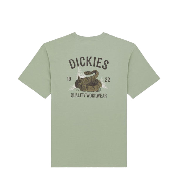 Dickies - Dickies Snake Iceberg Green T-Shirt - DK0A4Z99 - ICEBERG/GREEN
