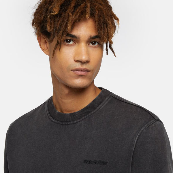 Dickies - Plentywood Black Sweatshirt - DK0A864H - BLACK