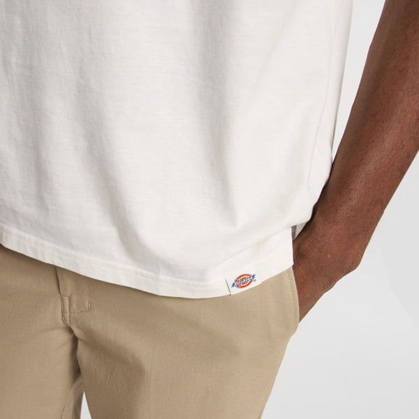 Dickies - Flag Egret T-Shirt - DK0A87QD - EGRET