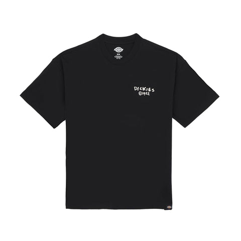 Dickies - T-Shirt Sneedville Black - DK0A87QO - BLACK