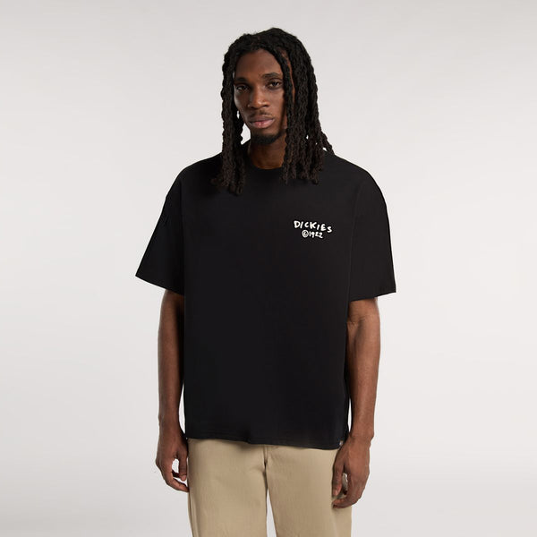 Dickies - T-Shirt Sneedville Black - DK0A87QO - BLACK