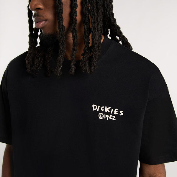 Dickies - T-Shirt Sneedville Black - DK0A87QO - BLACK