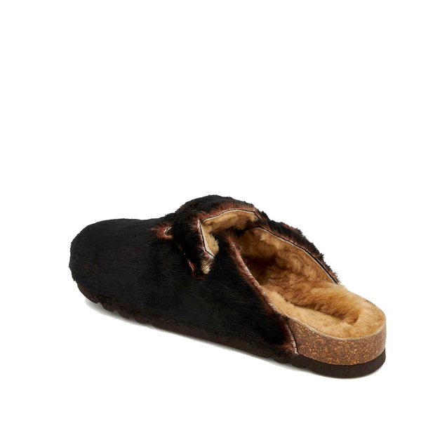 Scholl - Sabot Fae New Chocolate - SL.F318161071 - CHOCOLATE